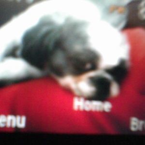 Meet your Posher, Debra